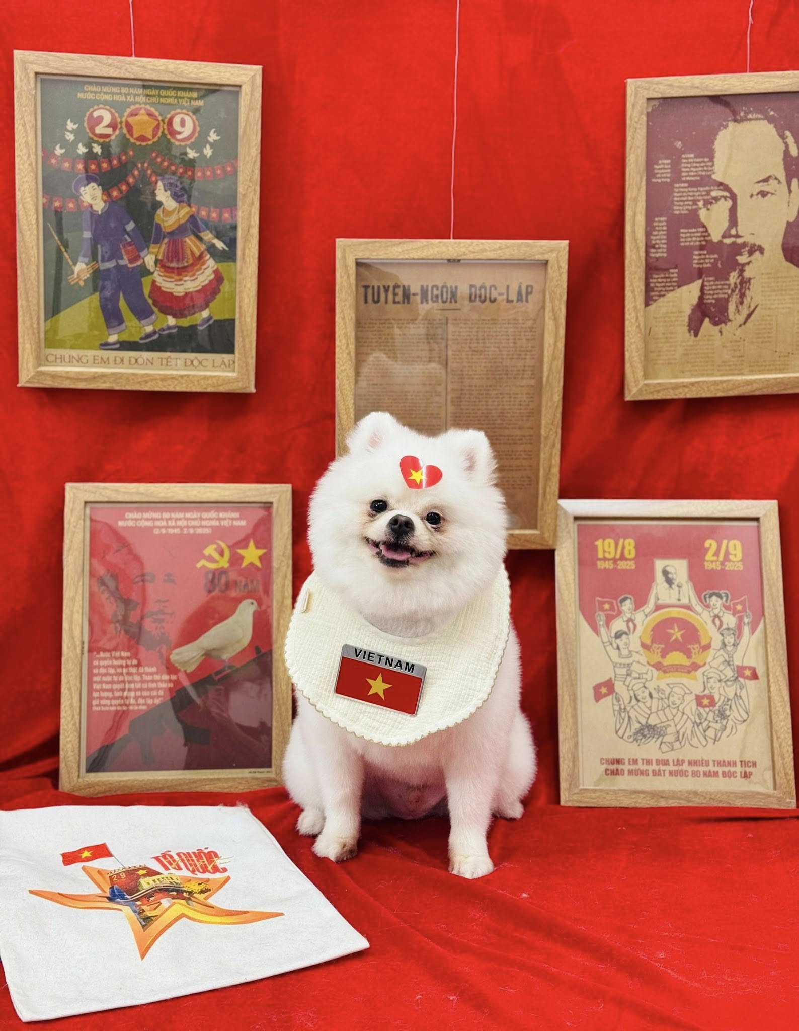 [🆕🇻🇳] Mymy Pet House – Tiệm Làm Đẹp Thú Cưng. 162 Nguyễn Huy Tưởng 🐶🦜 Top1Pets 🐱🐠 Hà Nội mùa thu, cây cơm nguội vàng, cây bàng lá đỏ. Mùa thu của lịch sử, của hy vọng và của tình yêu.
, shares-0✔️ , likes-0❤️️ , date-2025-09-02 20:28:53🐶🐱🇻🇳🇻🇳🇻🇳📰🆕