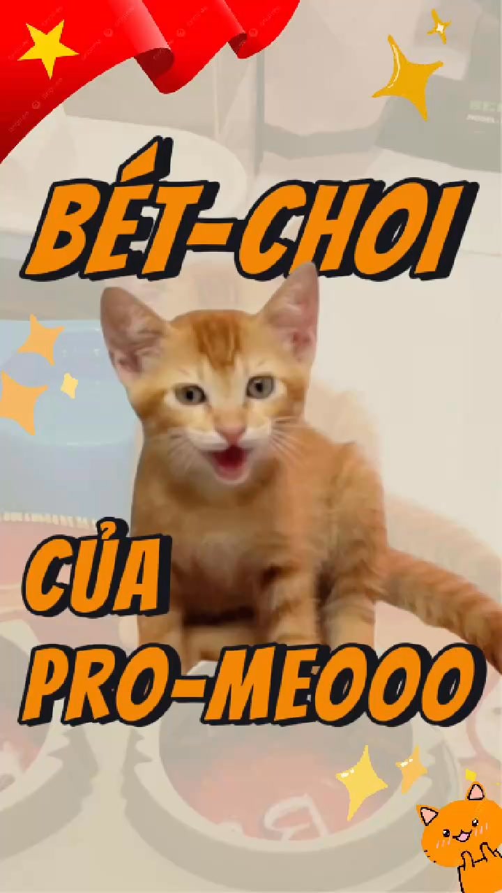 [🆕🇻🇳] Alpha Pet Vietnam – Vật phẩm dành cho thú cưng 🐶🦜 Top1Pets 🐱🐠 Thu1ee9 hai rou00e0i, u0103n pate thui ud83eudd90u2764ufe0fu200dud83dudd25 u00a9ufe0fLoki vu00e0 Luna #lokivaluna #alphapetvietnam”},”id”:”Uzp , shares-0✔️ , likes-127❤️️ , date-2025-09-02 02:16:01🐶🐱🇻🇳🇻🇳🇻🇳📰🆕