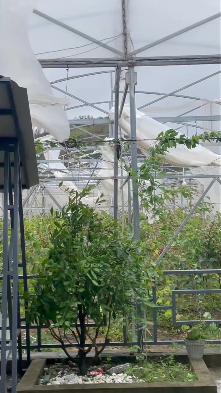 [🆕🇻🇳] Bigsize HT 👕 Top1Fashion 👗  Anh  5 vừa qua anh 6 lại hỏi thăm!!! , shares-0✔️ , likes-0❤️️ , date-2025-08-30 22:47:19🇻🇳🇻🇳🇻🇳📰🆕