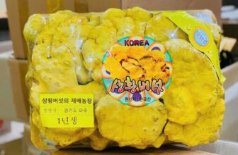 [🆕🇻🇳] Sam-Baby Store – 𝓒𝓾̛̉𝓪 𝓱𝓪̀𝓷𝓰 𝓜𝓮̣ 𝓿𝓪̀ 𝓑𝓮́ 𝓢𝓪𝓶 𝓑𝓪𝓫𝔂 𝓢𝓽𝓸𝓻𝓮 🧑‍🧒❤️️👶⭐️ NẤM THƯỢNG HOÀNG 365 Hàn Quốc
Hộp 500 gram
PHÒNG VÀ HỖ TRỢ ĐIỀU TRỊ UNG THƯ CỰC HIỆU QUẢ SỐ 1- VUA NẤMNấm linh chi thượng hoàng Hàn Quốc 365 hộp 500gr c , shares-0✔️ , likes-2❤️️ , date-2025-09-03 21:57:55🇻🇳🇻🇳🇻🇳📰🆕