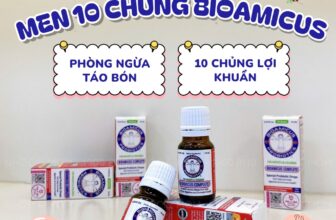 [🆕🇻🇳] Nhóc & Mom – Chăm sóc con yêu 🧑‍🧒❤️️👶⭐️ 𝐌𝐞𝐧 𝟏𝟎 𝐜𝐡𝐮̉𝐧𝐠 𝐁𝐢𝐨𝐚𝐦𝐢𝐜𝐮𝐬 – 𝐓𝐫𝐨̛̣ 𝐭𝐡𝐮̉ đ𝐚̆́𝐜 𝐥𝐮̛̣𝐜 𝐜𝐡𝐨 𝐛𝐞́ 𝐲𝐞̂𝐮 𝐤𝐡𝐨𝐞̉ 𝐦𝐚̣𝐧𝐡Với 10 chủng lợi khuẩn vượt trội, BioAmicus không chỉ giúp bé ăn ngon, tăng cân , shares-0✔️ , likes-2❤️️ , date-2025-09-03 15:20:55🇻🇳🇻🇳🇻🇳📰🆕