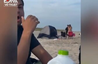 [🆕🇻🇳] TRÁNG US – Hàng Hiệu Authentic 👕 Top1Fashion 👗  Hoang dã quá :)) , shares-0✔️ , likes-0❤️️ , date-2025-08-30 20:25:00🇻🇳🇻🇳🇻🇳📰🆕