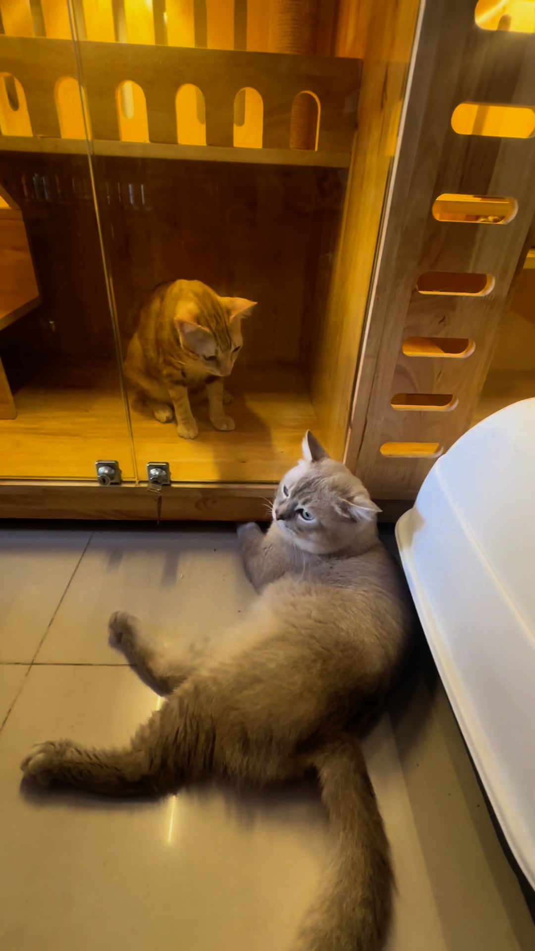 [🆕🇻🇳] Gạo Pet Shop 🐶🦜 Top1Pets 🐱🐠 Đồ giữ ẩm cho cơ thể của boss đả về nhiều mẫu đa dạng , thân mời các sen  ——————————————- —————- GAO PET SHOP – Tiệm  , shares-0✔️ , likes-0❤️️ , date-2025-09-01 18:32:29🐶🐱🇻🇳🇻🇳🇻🇳📰🆕