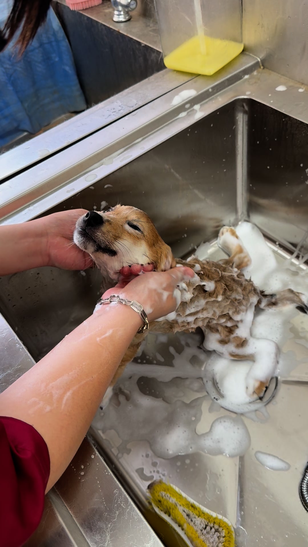 [🆕🇻🇳] PetPaw Pet Shop 🐶🦜 Top1Pets 🐱🐠  BAME đi chơi chưa biết gởi mấy “ẻm” ở đâu!?
Lo lắng mấy “ẻm” không được thoải mái vui chơi như ở nhà !?
—— Để  #PetPaw lo, bame khoải “phờ – lo”𝐏𝐞𝐭𝐩𝐚𝐰 , shares-0✔️ , likes-3❤️️ , date-2025-11-28 15:50:40🐶🐱🇻🇳🇻🇳🇻🇳📰🆕