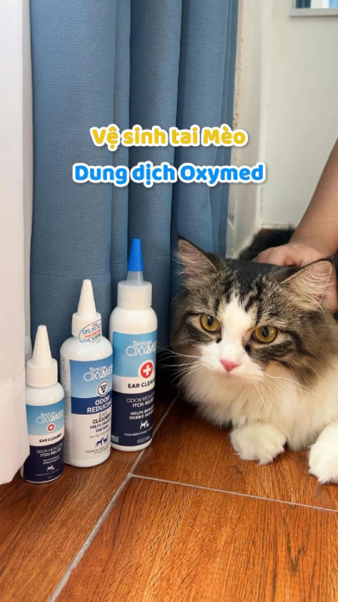 [🆕🇻🇳] CPC PetCare 🐶🦜 Top1Pets 🐱🐠 Vệ sinh tai cho Mèo cực an toàn hiệu quả tại nhà!
Ba mẹ tham khảo ngay nha!
#cpcpetcare #vesinhtaimeo #meo #thucung , shares-0✔️ , likes-0❤️️ , date-2025-09-01 19:40:32🐶🐱🇻🇳🇻🇳🇻🇳📰🆕