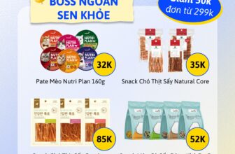 [🆕🇻🇳] Paddy Pet Shop 🐶🦜 Top1Pets 🐱🐠  NHANH TAY ÁP NGAY MÃ GIẢM GIÁ KHI CHỐT DEAL “BOSS NGOAN – SEN KHỎE”Cơ hội tuyệt vời để Sen tiết kiệm chi phí trong khi Boss cưng vẫn được thưởng thức p , shares-4✔️ , likes-57❤️️ , date-2025-09-03 21:13:08🐶🐱🇻🇳🇻🇳🇻🇳📰🆕