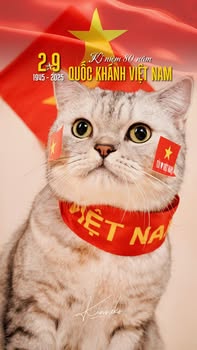 [🆕🇻🇳] Kin Neko PetShop – Cửa Hàng Thú Cưng 🐶🦜 Top1Pets 🐱🐠  , shares-0✔️ , likes-4❤️️ , date-2025-09-02 15:01:28🐶🐱🇻🇳🇻🇳🇻🇳📰🆕