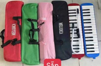 [🧸️🇻🇳] Thế Giới Đồ Chơi Phương🎈Top1Toys🧸️  Đàn phím thổi
, shares-0✔️ , likes-0❤️️ , date-2025-09-04 15:58:32🇻🇳🇻🇳🇻🇳📰🆕