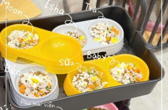 [🆕🇻🇳] Lu Pet Shop – Dịch vụ thú cưng Bà Rịa 🐶🦜 Top1Pets 🐱🐠 Hôm nay shop full lịch , hẹn Ba mẹ sang ngày mai nhaa
, shares-0✔️ , likes-0❤️️ , date-2025-09-03 16:18:59🐶🐱🇻🇳🇻🇳🇻🇳📰🆕