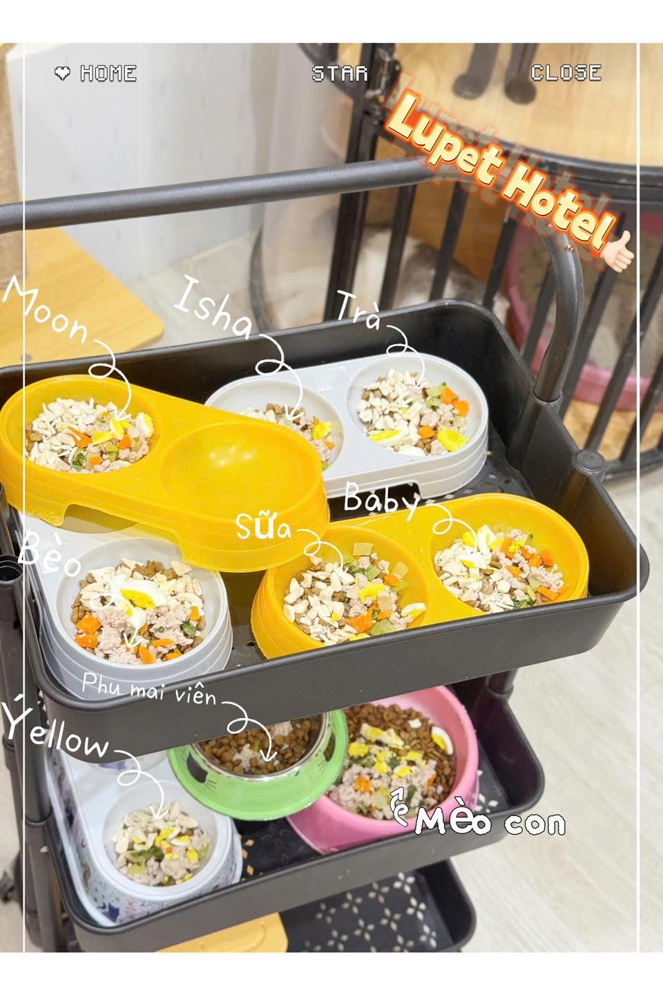 [🆕🇻🇳] Lu Pet Shop – Dịch vụ thú cưng Bà Rịa 🐶🦜 Top1Pets 🐱🐠 Hôm nay shop full lịch , hẹn Ba mẹ sang ngày mai nhaa
, shares-0✔️ , likes-0❤️️ , date-2025-09-03 16:18:59🐶🐱🇻🇳🇻🇳🇻🇳📰🆕