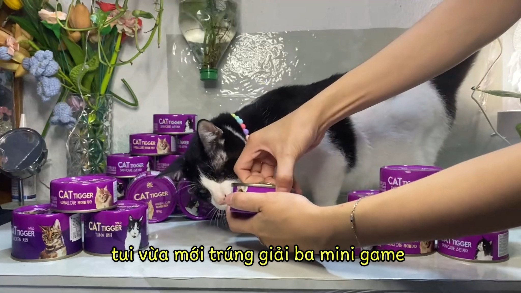 [🆕🇻🇳] Pet Like Park 🐶🦜 Top1Pets 🐱🐠 ud83cudf89 CHu00daC Mu1eeaNG Bu1ea0N CHIu1ec0U XUu00c2N u0110u00c3 u0110Ou1ea0T GIu1ea2I BA ud83cudf89nnud83dude38Pet Like xin gu1eedi l , shares-1✔️ , likes-25❤️️ , date-2025-09-04 01:31:44🐶🐱🇻🇳🇻🇳🇻🇳📰🆕