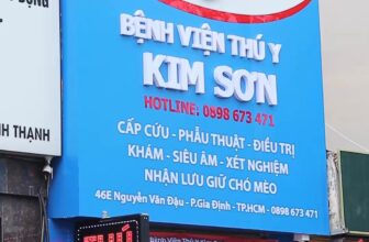 [🆕🇻🇳] Bệnh Viện Thú Y Kim Sơn Quận 3 🐶🦜 Top1Pets 🐱🐠 Mừng Quốc khánh 2/9 & khai trương Thú y Kim Sơn 46E Nguyễn Văn Đậu
Để các Sen và Boss luôn được chăm sóc chu đáo – thoải mái hơn bao giờ hết
Chương trình d , shares-0✔️ , likes-0❤️️ , date-2025-09-03 01:29:52🐶🐱🇻🇳🇻🇳🇻🇳📰🆕