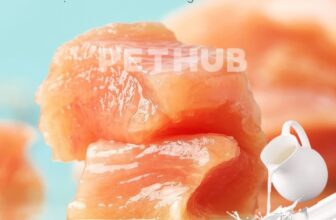 [🆕🇻🇳] Pet Hub Tây Ninh 🐶🦜 Top1Pets 🐱🐠 𝐒𝐮́𝐩 𝐭𝐡𝐮̛𝐨̛̉𝐧𝐠 𝐬𝐮̛̃𝐚 𝐝𝐞̂ 𝐜𝐡𝐨 𝐦𝐞̀𝐨 𝐏𝐞𝐭𝐐
#PetHubTayNinh #PetShopTayNinh #ThuCungTayNinh #PetFoodTayNinh
#SpaThuCungPetHub  #28LeLoi #128ChauVanLiem #SupTh , shares-0✔️ , likes-0❤️️ , date-2025-09-04 14:02:07🐶🐱🇻🇳🇻🇳🇻🇳📰🆕