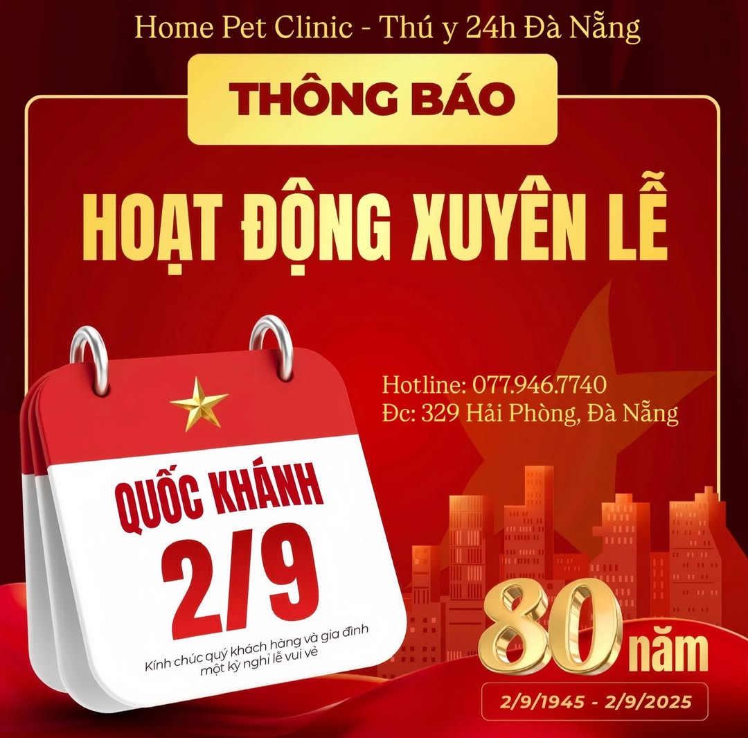 [🆕🇻🇳] Dịch vụ thú y tại nhà 24h Đà Nẵng HomePet 🐶🦜 Top1Pets 🐱🐠 Thông báo: Phòng khám sẽ hoạt động xuyên lễ, đảm bảo các dịch vụ khám, điều trị và tiêm phòng cho thú cưng vẫn diễn ra bình thường nhé sen
________________ , shares-1✔️ , likes-1❤️️ , date-2025-08-31 17:23:18🐶🐱🇻🇳🇻🇳🇻🇳📰🆕