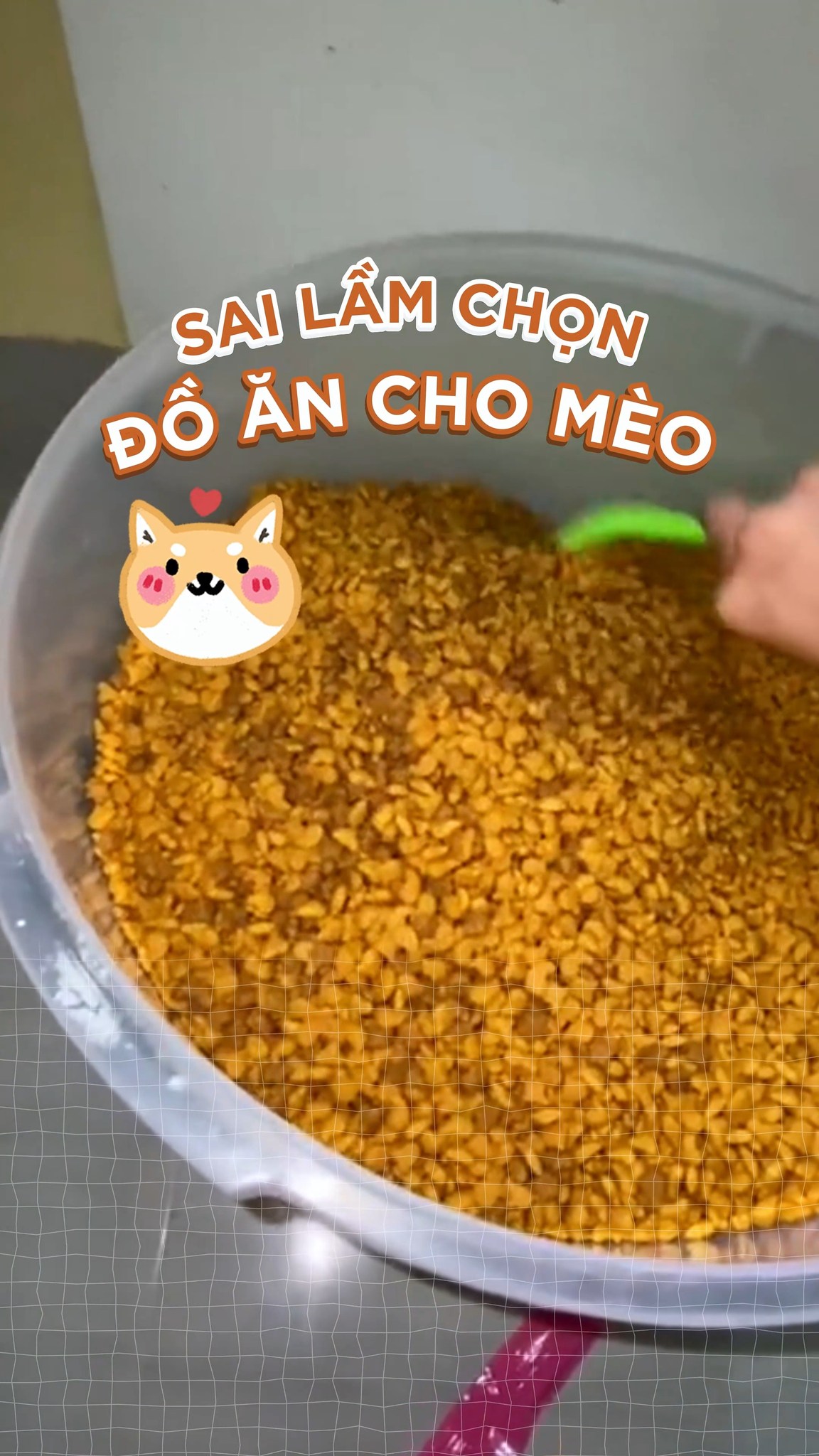 [🆕🇻🇳] Hamster Kingdom Thủ Đức 🐶🦜 Top1Pets 🐱🐠 người ta nói, kệ mình nhắm mắt iu lun !!!
————————————-
Ủng hộ Hamster KingDom
Mở cửa: 8h30 – 21h00
𝐇𝐚𝐦𝐬𝐭𝐞𝐫 𝐊𝐢𝐧𝐠𝐝𝐨𝐦 𝐁𝐢̀𝐧𝐡 𝐓𝐡𝐚̣𝐧𝐡
𝑃ℎ , shares-0✔️ , likes-0❤️️ , date-2025-09-04 03:00:15🐶🐱🇻🇳🇻🇳🇻🇳📰🆕