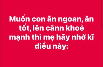 [🆕🇻🇳]  SHOP MẸ GƠ- Thế giới ăn dặm organic 🧑‍🧒❤️️👶⭐️ Bình luận đã bị tắt cho bài viết này.
, shares-11✔️ , likes-20❤️️ , date-2025-09-04 15:11:41🇻🇳🇻🇳🇻🇳📰🆕