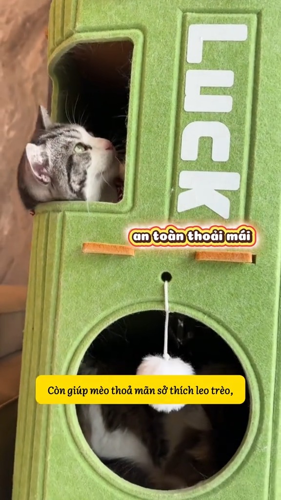 [🆕🇻🇳] Fairy Marina – Chăm Sóc Thú Cưng Hiện Đại 🐶🦜 Top1Pets 🐱🐠  , shares-0✔️ , likes-0❤️️ , date-🐶🐱🇻🇳🇻🇳🇻🇳📰🆕