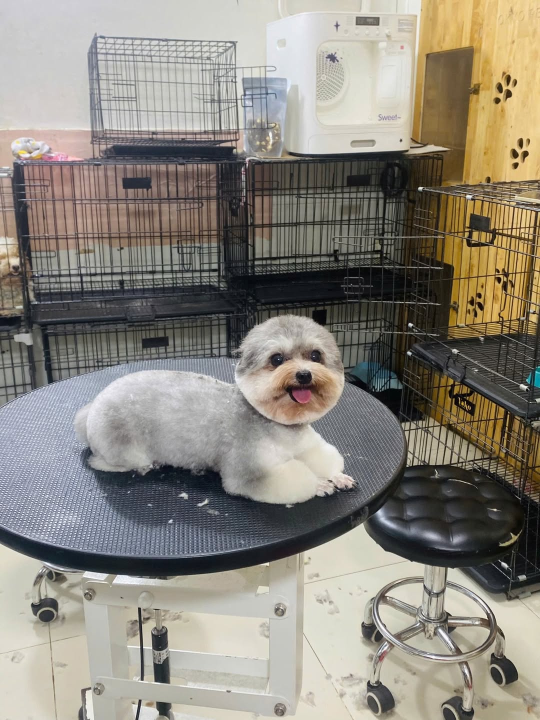 [🆕🇻🇳] F5 Fruit Shop Hồ Chí Minh-hệ thống bán lẻ Trái cây Nhập khẩu cao cấp 🍔 Top1Food  🍜  𝐍𝐇𝐎 𝐊𝐄̣𝐎 𝐒𝐌𝐈𝐋𝐄 𝐌𝐘̃ – 𝐍𝐆𝐎̣𝐓 𝐍𝐆𝐀̀𝐎 𝐍𝐇𝐔̛ 𝐊𝐄̣𝐎, 𝐓𝐔̛𝐎̛𝐈 𝐍𝐆𝐎𝐍 -𝐌𝐎̛́𝐈 𝐕𝐄̂̀
Giá lẻ: 1⃣ 5⃣ 0⃣ / hộp 454r
Nguyên thùng: 1⃣ 3⃣ , shares-1✔️ , likes-20❤️️ , date-2025-09-05 16:14:44🇻🇳🇻🇳🇻🇳📰🆕