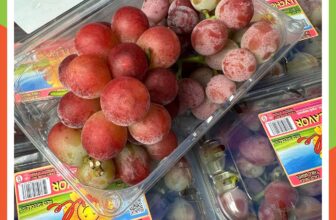 [🆕🇻🇳] F5 Fruit Shop Hồ Chí Minh-hệ thống bán lẻ Trái cây Nhập khẩu cao cấp 🍔 Top1Food  🍜  𝐍𝐇𝐎 𝐊𝐄̣𝐎 𝐒𝐌𝐈𝐋𝐄 𝐌𝐘̃ – 𝐍𝐆𝐎̣𝐓 𝐍𝐆𝐀̀𝐎 𝐍𝐇𝐔̛ 𝐊𝐄̣𝐎, 𝐓𝐔̛𝐎̛𝐈 𝐍𝐆𝐎𝐍 -𝐌𝐎̛́𝐈 𝐕𝐄̂̀
Giá lẻ: 1⃣ 5⃣ 0⃣ / hộp 454r
Nguyên thùng: 1⃣ 3⃣ , shares-1✔️ , likes-20❤️️ , date-2025-09-05 16:14:44🇻🇳🇻🇳🇻🇳📰🆕