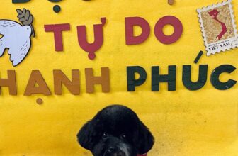 [🆕🇻🇳] Mon&Pet  🐶🦜 Top1Pets 🐱🐠  Mon&Pet – Spa đẳng cấp cho thú cưng!
Bạn muốn bé cưng luôn sạch sẽ – thơm tho – lông mượt óng ả? Hãy để Mon&Pet Spa chăm sóc với dịch vụ chuyên nghiệp, t , shares-0✔️ , likes-1❤️️ , date-2025-09-07 18:18:59🐶🐱🇻🇳🇻🇳🇻🇳📰🆕