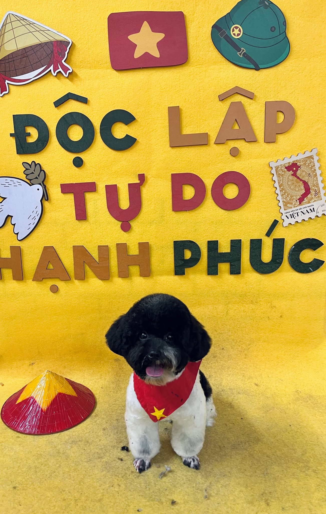 [🆕🇻🇳] Mon&Pet  🐶🦜 Top1Pets 🐱🐠  Mon&Pet – Spa đẳng cấp cho thú cưng!
Bạn muốn bé cưng luôn sạch sẽ – thơm tho – lông mượt óng ả? Hãy để Mon&Pet Spa chăm sóc với dịch vụ chuyên nghiệp, t , shares-0✔️ , likes-1❤️️ , date-2025-09-07 18:18:59🐶🐱🇻🇳🇻🇳🇻🇳📰🆕