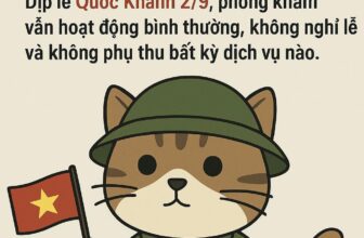 [🆕🇻🇳] Thú Y Ốc Nhỏ – 384 Nguyễn Chí Thanh. Quận 10 🐶🦜 Top1Pets 🐱🐠  THÔNG BÁOPhòng Khám Thú Y Ốc Nhỏ xin thông báo:
Dịp lễ Quốc Khánh 2/9, phòng khám vẫn hoạt động bình thường, không nghỉ lễ và không phụ thu bất kỳ dịc , shares-0✔️ , likes-2❤️️ , date-2025-09-01 17:37:50🐶🐱🇻🇳🇻🇳🇻🇳📰🆕