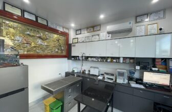 [🆕🇻🇳] Phòng Khám Thú Y Sơn Tây Pet 🐶🦜 Top1Pets 🐱🐠  Gần 10 năm gắn bó với nghề, tôi có cơ duyên được tự thành lập và điều hành một bệnh viện th.ú y nhỏ.
Ban đầu chỉ với niềm đam mê và lòng yêu động v.ật,  , shares-0✔️ , likes-9❤️️ , date-2025-09-05 23:27:10🐶🐱🇻🇳🇻🇳🇻🇳📰🆕