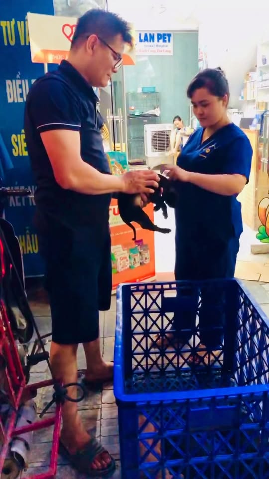 [🆕🇻🇳] PET ME – Sở thú mini giữa lòng Sài Gòn 🐶🦜 Top1Pets 🐱🐠 Báo thật sự  #petme #pet #cat #meo #funnymeme #caphethucung
, shares-1✔️ , likes-52❤️️ , date-2025-09-05 21:33:39🐶🐱🇻🇳🇻🇳🇻🇳📰🆕