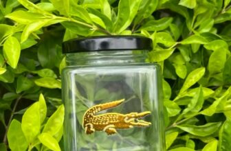 [🆕🇻🇳] Tem nhãn Hà Nội Susi – In ấn tem nhãn, thiết kế, cắt bế bằng máy kỹ thuật số 🎨 Top1Designs ✨  \ud83c\udf1f TEM UV DTF NH\u0168 \u2013 \u0110\u1ec8NH CAO TEM D\u00c1N TH\u01af\u01a0NG HI\u1ec6U \u2728\n\n\ud83d\udca1 M\u1ed9t s\u1ea3n ph\u1ea9m \u011 , shares-1✔️ , likes-2❤️️ , date-2025-09-05 16:47:36🇻🇳🇻🇳🇻🇳📰🆕