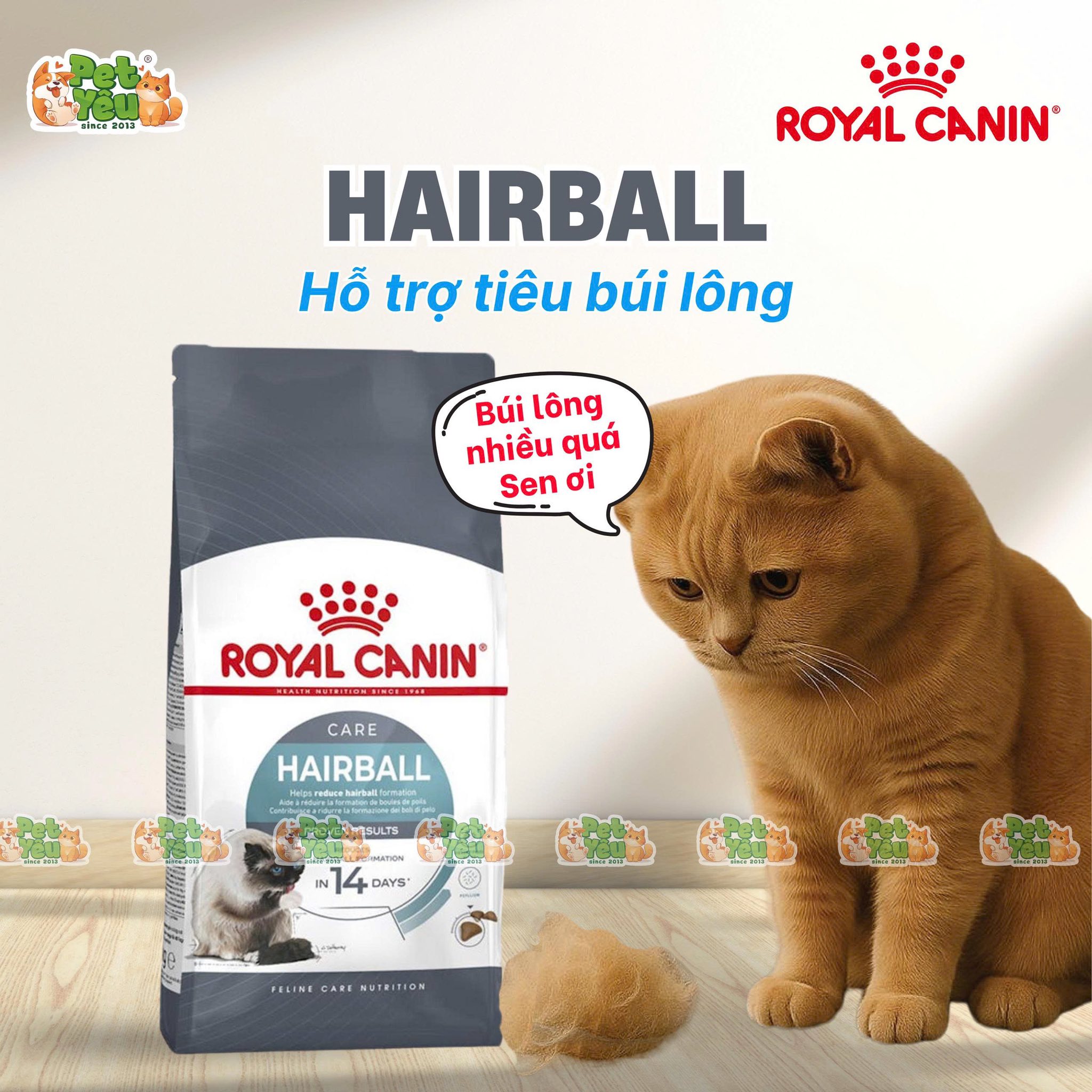 [🆕🇻🇳] Lí Lắc Pet Store – Shop Thú Cưng Quận 11 🐶🦜 Top1Pets 🐱🐠  Hạt Reflex Plus Adult Cat Food Chicken 1.5Kg – Dinh dưỡng trọn vẹn cho mèo trưởng thànhDành cho mèo trên 12 tháng tuổi, cân nặng 2–10kg
Giàu Omega 3  , shares-1✔️ , likes-1❤️️ , date-2025-09-08 22:22:39🐶🐱🇻🇳🇻🇳🇻🇳📰🆕