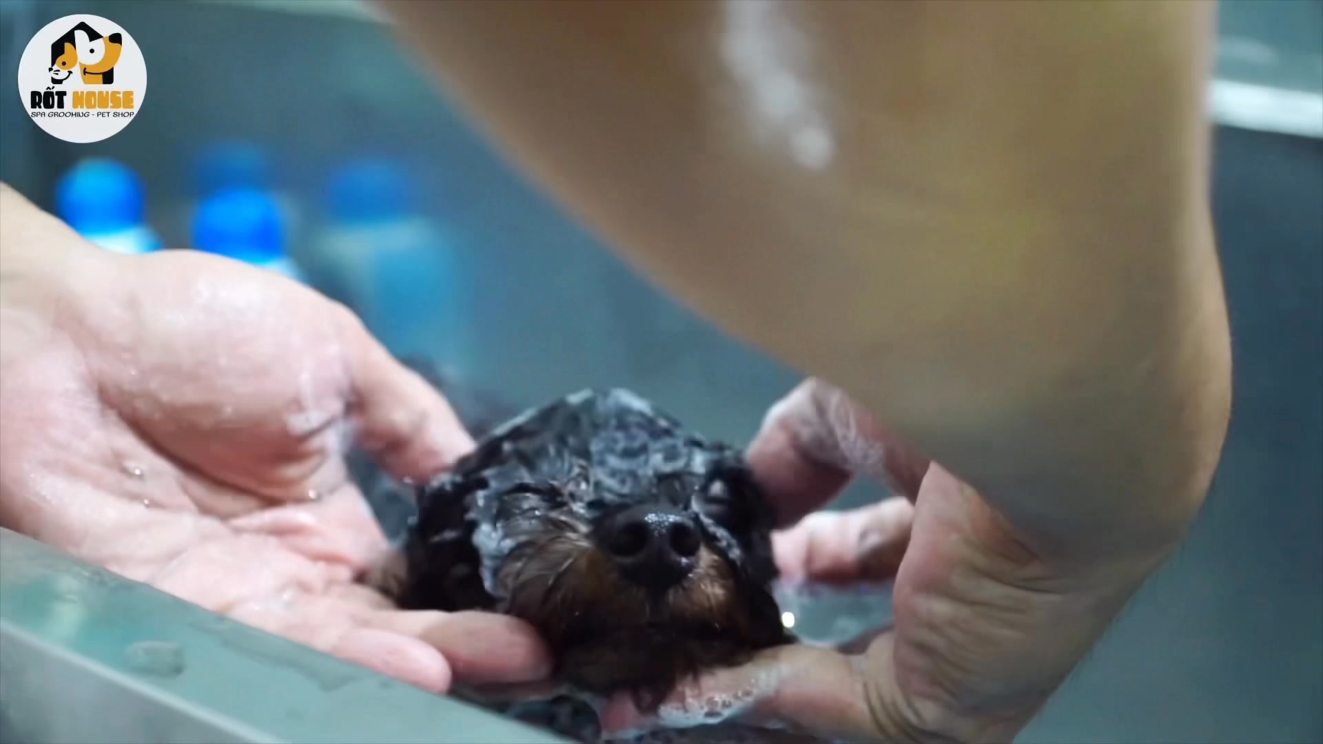 [🆕🇻🇳] RỐT HOUSE – Tiệm Cắt Lông Thú Cưng 🐶🦜 Top1Pets 🐱🐠 ud83dudc29 Spa THu01a0M – Xu1ecaN – Mu1ecaNnud83dudec1 Tu1eafm vu1ec7 sinh chu1ec9 tu1eeb 120k nud83eude92 Tu1eafm vu1ec7 sinh cu1ea1o l , shares-4✔️ , likes-20❤️️ , date-2025-09-06 20:27:22🐶🐱🇻🇳🇻🇳🇻🇳📰🆕