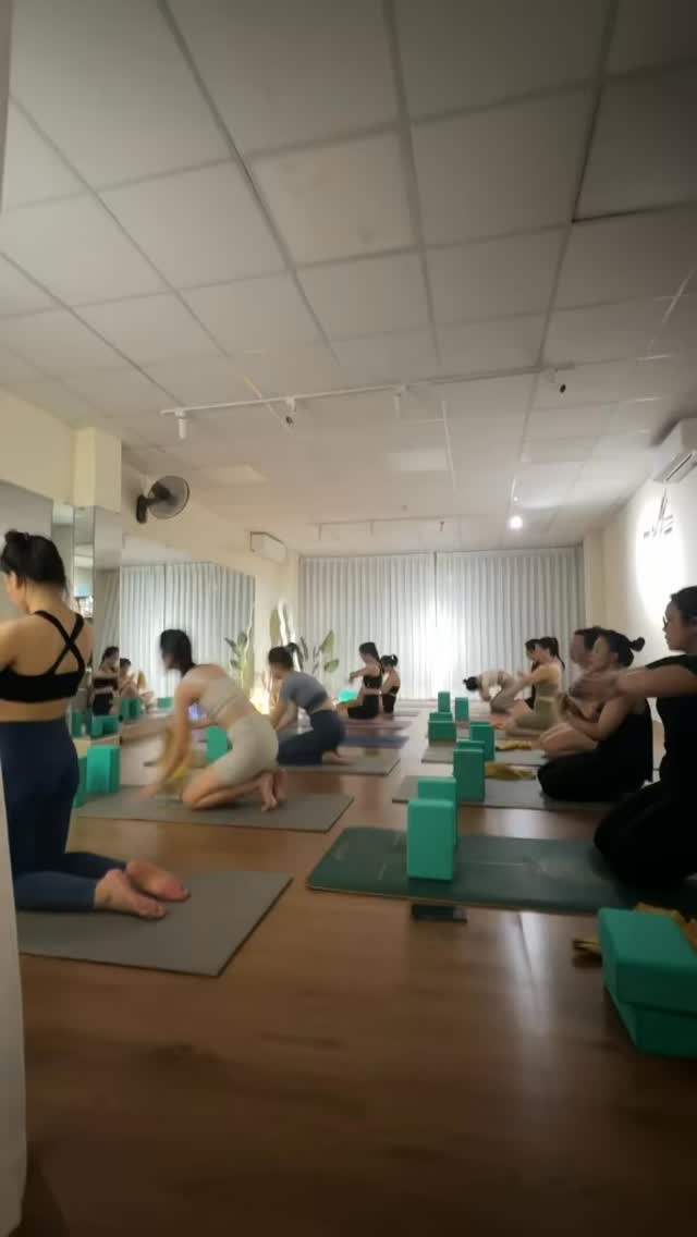 [🆕🇻🇳] YOGA & MORE – Phòng tập yoga 🧘 Top1Yoga 🤸🏻‍♀️  , shares-0✔️ , likes-0❤️️ , date-🇻🇳🇻🇳🇻🇳📰🆕