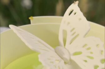 [🆕🇻🇳] La Fuong – Cảm hứng đến từ Pháp – Bánh Entremet tinh tế 🍔 Top1Food  🍜 Fusion Á & Âu?  Có Xoài, Lá dứa lại có thêm Phô-mai Creamcheese?  Đó là chiếc bánh Secret Garden được yêu thích nhất của LaFuongĐặt bánh tại lafuong.co , shares-0✔️ , likes-0❤️️ , date-2025-09-10 17:24:10🇻🇳🇻🇳🇻🇳📰🆕