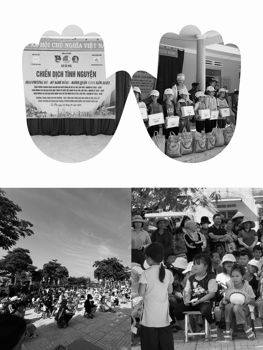 [🆕🇻🇳] AGUJA  👕 Top1Fashion 👗   , shares-0✔️ , likes-34❤️️ , date-2025-09-05 04:06:08🇻🇳🇻🇳🇻🇳📰🆕