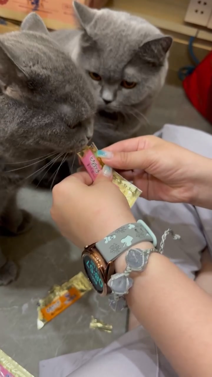 [🆕🇻🇳] Pet Lovers VN – Thiên đường thức ăn dành cho thú cưng của bạn 🐶🦜 Top1Pets 🐱🐠 Ăn ngon mà quên luôn sen đang quay lén
================================
Hệ Thống Web:
Website:
FaceBook:
InStagram:
Shopee:
Lazada:
Tiktok: petlov , shares-0✔️ , likes-0❤️️ , date-2025-09-05 20:00:15🐶🐱🇻🇳🇻🇳🇻🇳📰🆕