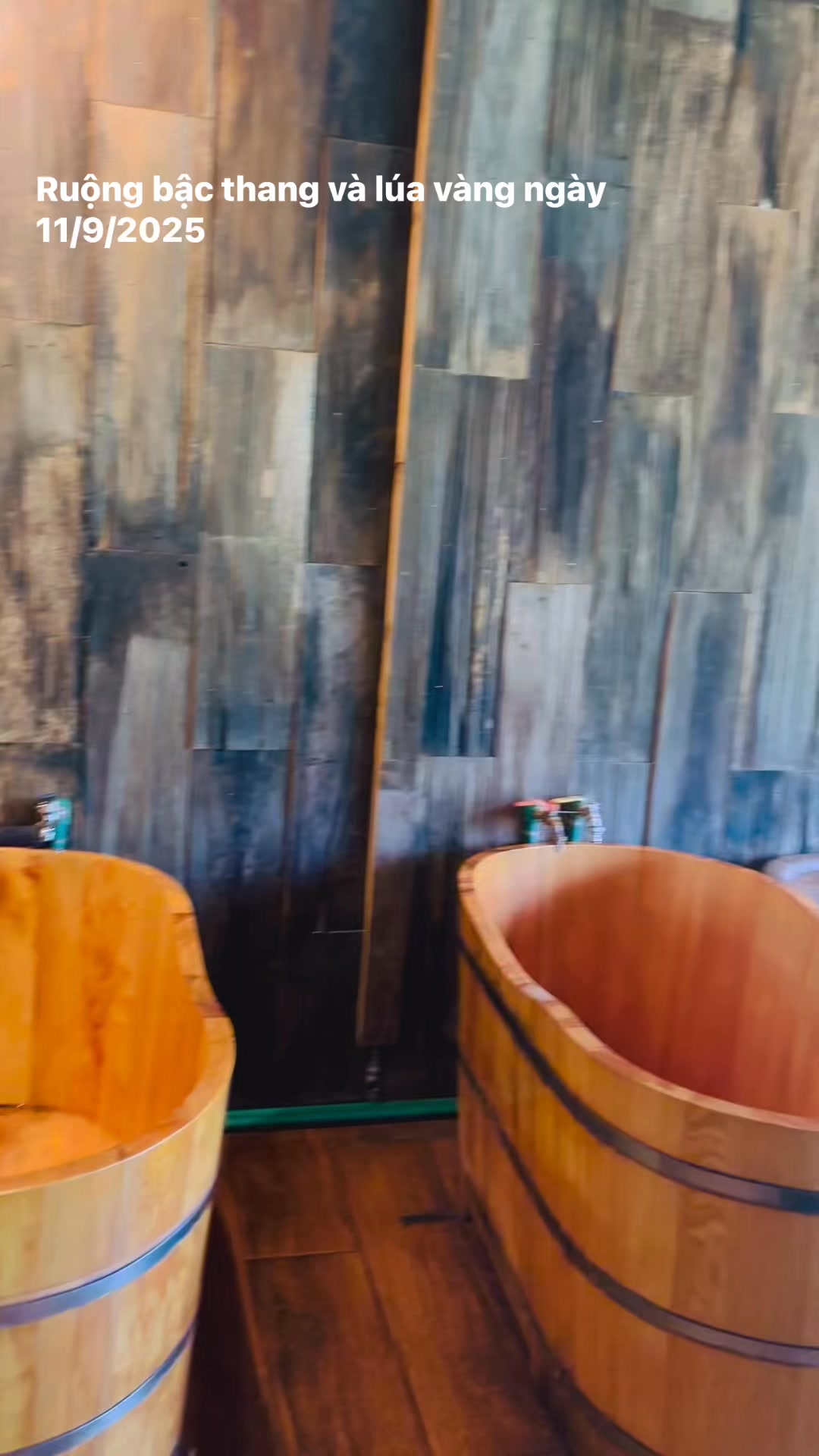 [☕️🇻🇳] La Dao Spa – Coffee House, homestay 🥤 Top1Coffee ☕️ Lá Dao Spa – Tắm lá Dao đỏ, ngắm mùa lúa vàng Tả Van Mùa đẹp nhất trong năm đã đến! Ngồi trong phòng tắm thảo dược hay nằm massa , shares-0✔️ , likes-0❤️️ , date-2025-09-10 17:36:59🇻🇳🇻🇳🇻🇳📰🆕