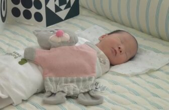 [🆕🇻🇳]  Đệm trẻ em đa năng Hàn Quốc – Korean Bumper Bed 🧑‍🧒❤️️👶⭐️ #Bumperbed #madeinkorea #chericheribabi , shares-0✔️ , likes-0❤️️ , date-2025-09-08 16:26:06🇻🇳🇻🇳🇻🇳📰🆕