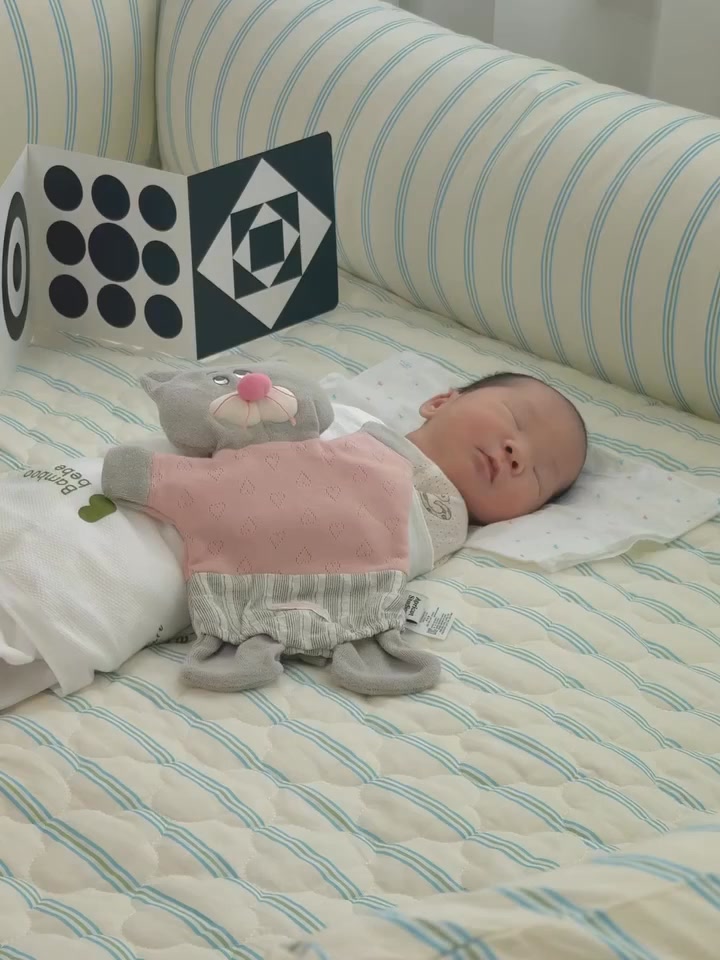 [🆕🇻🇳]  Đệm trẻ em đa năng Hàn Quốc – Korean Bumper Bed 🧑‍🧒❤️️👶⭐️ #Bumperbed #madeinkorea #chericheribabi , shares-0✔️ , likes-0❤️️ , date-2025-09-08 16:26:06🇻🇳🇻🇳🇻🇳📰🆕