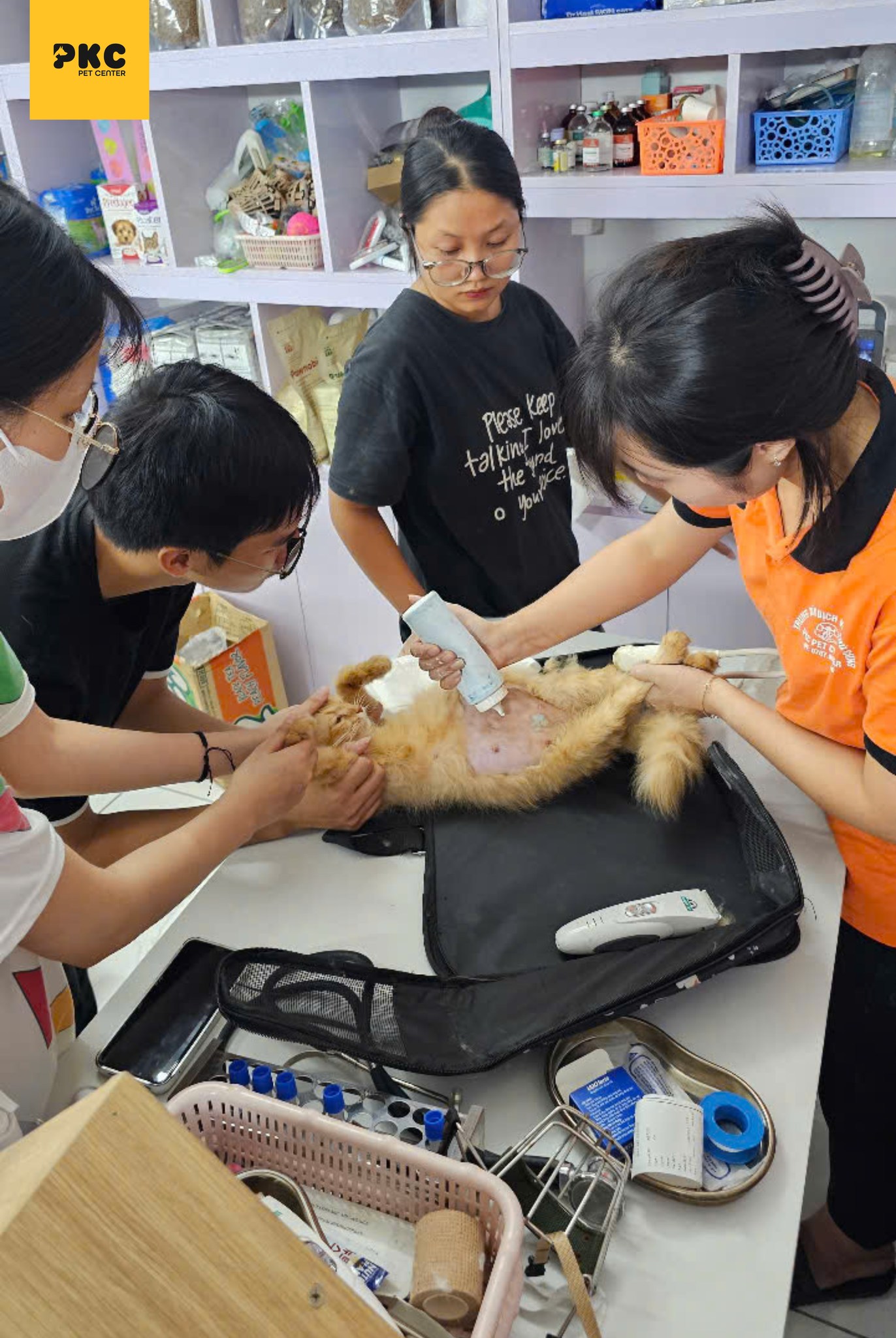 [🆕🇻🇳] PKC Pet Center – Phòng khám thú y PKC Pet Center thuộc Trung tâm dịch vụ thú cưng PKC Pet Center 🐶🦜 Top1Pets 🐱🐠 HÀNH TRÌNH “LÀM MẸ” CỦA BOSS MÈO TẠI PKC PET CENTERKhông chỉ con người mới cần sự chăm sóc y tế trong giai đoạn mang thai – thú cưng cũng vậy! Tại PKC P , shares-2✔️ , likes-9❤️️ , date-2025-09-06 01:22:13🐶🐱🇻🇳🇻🇳🇻🇳📰🆕