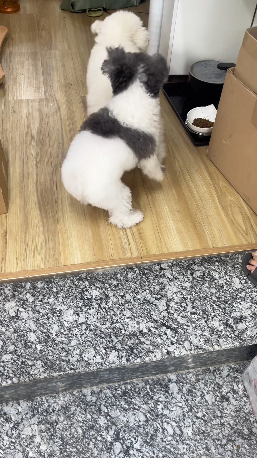 [🆕🇻🇳] Pet’s Home – Hệ thống cửa hàng thú cưng 🐶🦜 Top1Pets 🐱🐠  , shares-0✔️ , likes-0❤️️ , date-🐶🐱🇻🇳🇻🇳🇻🇳📰🆕