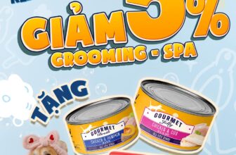 [🆕🇻🇳] Pet Station VN 🐶🦜 Top1Pets 🐱🐠  Tắm Sạch – Ăn No – Relax Tại Trạm
.
Sau mấy ngày lễ tung tăng, Sen đã có cả album ảnh đẹp chưa nè, còn Boss thì đang mong chờ một ‘holiday after party’ l , shares-1✔️ , likes-132❤️️ , date-2025-09-08 17:00:56🐶🐱🇻🇳🇻🇳🇻🇳📰🆕