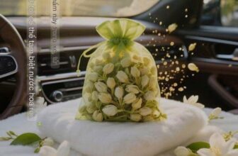 [🆕🇻🇳] Bibo House – Mua sắm – bán lẻ 👕 Top1Fashion 👗  XE THƠM – TỦ THƠM – PHÒNG THƠMCOMBO 10 TÚI THƠM HOA NHÀI KHÔ – SIÊU TIỆN LỢI, SIÊU TIẾT KIỆM  #89k/10 túiTúi thơm hoa nhài khô tự nhiên, hương dịu n , shares-0✔️ , likes-5❤️️ , date-2025-09-08 17:45:32🇻🇳🇻🇳🇻🇳📰🆕