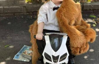 [🆕🇻🇳] Limii Mart – Cùng Bé yêu khôn lớn 🧑‍🧒❤️️👶⭐️ Nổ ibox chiếc Deal 3 Bịch #Royalsolf tặng 1 Xe máy Điện.Hết hôm nay em đóng Deal. Ctr về 4-5 Bịch
, shares-0✔️ , likes-0❤️️ , date-2025-09-09 16:59:21🇻🇳🇻🇳🇻🇳📰🆕