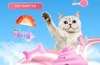 [🆕🇻🇳] Pupdy Vietnam – nơi Boss & Sen giải bầy nổi niềm 🐶🦜 Top1Pets 🐱🐠  9.9 SIÊU SALE – SIÊU SỐC
Ngày vàng săn deal cực hot đã đến rồi, Sen ơi!Duy nhất 09/09, cùng Pupdy bùng nổ với:
Giảm giá đến 50% hàng loạt sản phẩm h , shares-1✔️ , likes-101❤️️ , date-2025-09-08 21:24:30🐶🐱🇻🇳🇻🇳🇻🇳📰🆕