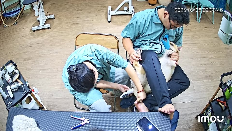 [🆕🇻🇳] MÁ SEN – Tiệm Tóc Thú Cưng 🐶🦜 Top1Pets 🐱🐠 Mỗi lần Má đi đâu ra ngoài tí thợ báo ” chị ơi, nay có anh tài vô” là biết có mõ hỗn vô rồi đó Bật cam lên xem thì thấy thợ Má đang rất cần mẫn với khứa .  , shares-0✔️ , likes-45❤️️ , date-2025-09-08 16:46:00🐶🐱🇻🇳🇻🇳🇻🇳📰🆕