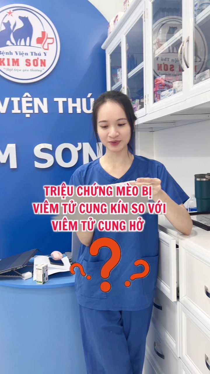 [🆕🇻🇳] Quynh Le Pet Spa  🐶🦜 Top1Pets 🐱🐠 Ruby – Viên ngọc thô đc mài dũa
Dũa đến mức cô Quền khan tiếng luôn
P/s: Ruby tượng trưng cho việc con đã đẹp dù ở đâu con vẫn luôn toả sáng kể cả trong ch , shares-0✔️ , likes-0❤️️ , date-2025-09-09 02:30:36🐶🐱🇻🇳🇻🇳🇻🇳📰🆕