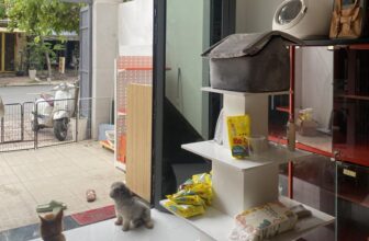 [🆕🇻🇳] PetPaw Pet Shop 🐶🦜 Top1Pets 🐱🐠 THÔNG BÁO
Petpaw Petshop dời địa chỉ kinh doanh:
Địa chỉ cũ: 204-206 Đặng Thuỳ Trâm,p.Bình Lợi Trung, HCM
Địa chỉ mới: 289 Bình Lợi, p. Bình Lợi Trung,HC , shares-2✔️ , likes-7❤️️ , date-2025-09-08 16:44:51🐶🐱🇻🇳🇻🇳🇻🇳📰🆕