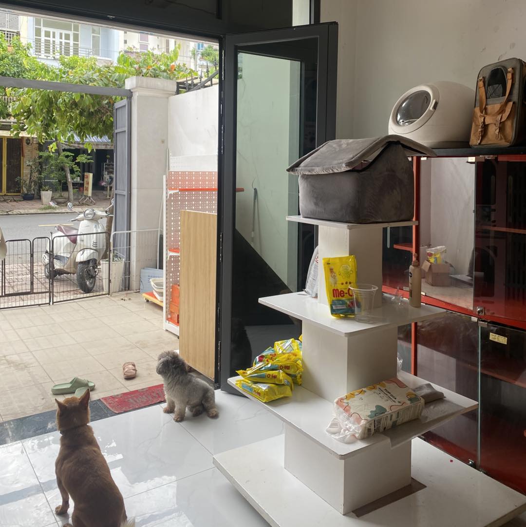 [🆕🇻🇳] Max Well VN – thức ăn cho mèo thuộc tập đoàn Unicharm, Nhật Bản 🐶🦜 Top1Pets 🐱🐠 MAX WELL DÀNH CHO MÈO CON PHIÊN BẢN MỚI
NHỎ XINH HƠN, GIÁ MỀM HƠNSen ơi, Max Well dành cho mèo con, nay đã có PHIÊN BẢN MỚI, nhỏ gọn hơn, giá mền hơn,  , shares-1✔️ , likes-126❤️️ , date-2025-09-08 16:24:15🐶🐱🇻🇳🇻🇳🇻🇳📰🆕