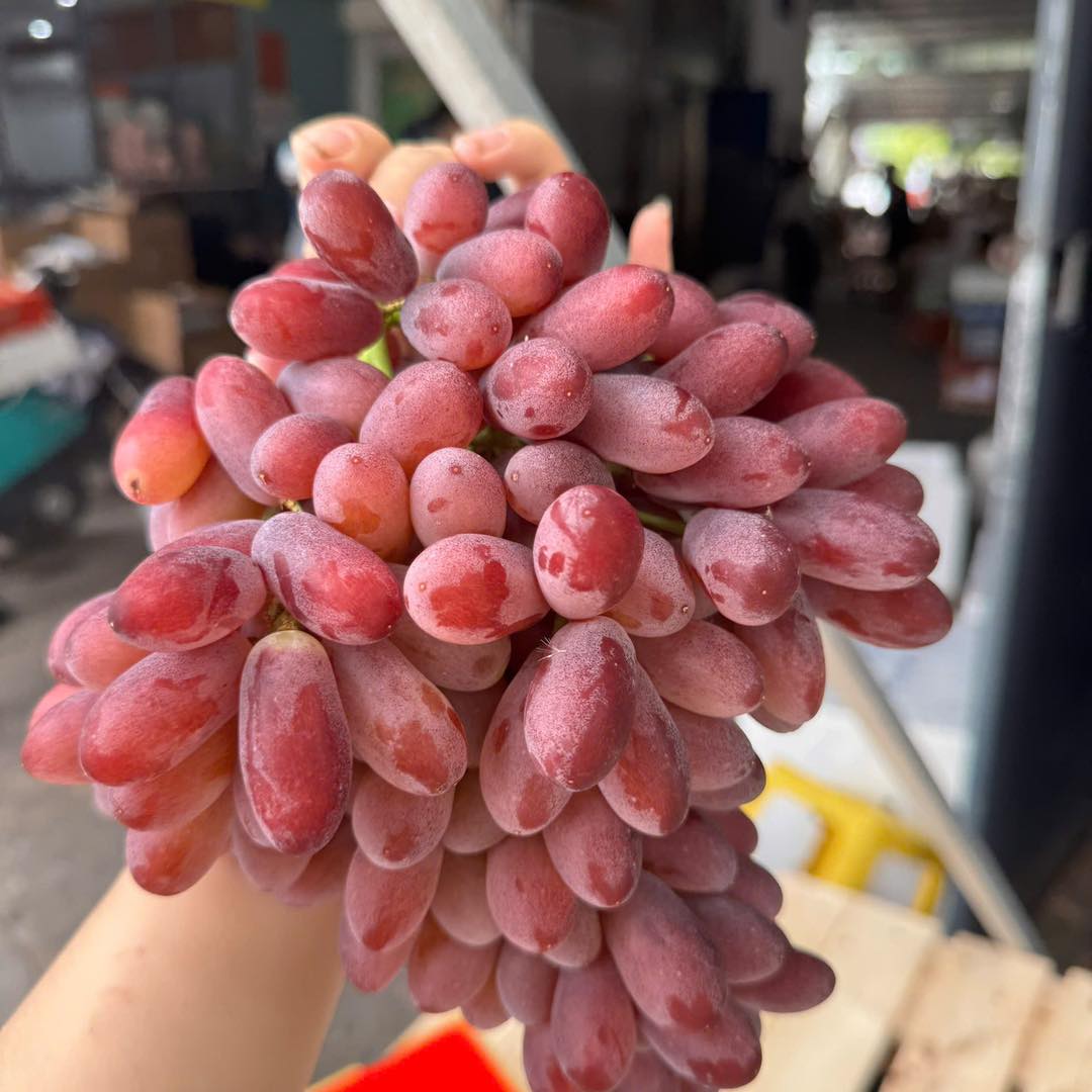 [🆕🇻🇳] Eagle Fitness & Yoga 255 Kim Ngưu 🧘 Top1Yoga 🤸🏻‍♀️ Hành trình thay đổi bản thân sau quá trình tập luyện tại Eagle Fitness [Part 1]Mỗi con số đều biết nói – và hành trình thay đổi của hội viên nhà Eagle ch , shares-0✔️ , likes-3❤️️ , date-2025-09-11 21:36:57🇻🇳🇻🇳🇻🇳📰🆕