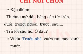 [🆕🇻🇳] Thầy Trần Phú 📚 Top1Learn 📕 Kiến thức thành phần câu
, shares-48✔️ , likes-22❤️️ , date-2025-09-09 23:57:12🇻🇳🇻🇳🇻🇳📰🆕